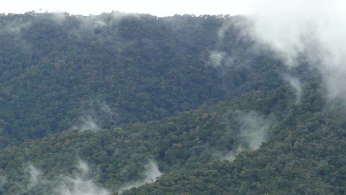 在时光倒流和多山的地形上看到哥斯达黎加的云雾森林
