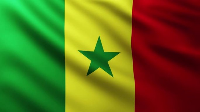 塞内加尔大旗全屏背景在风中飘扬