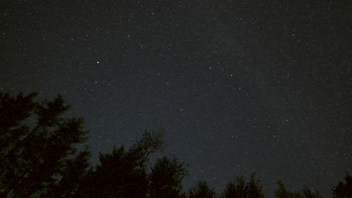 夜间数百万只蚊子夜空仰视星空森林夜空