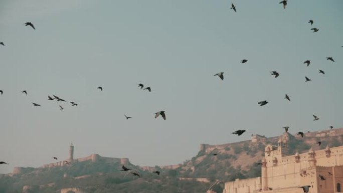 和鸟儿一起飞过古老的琥珀堡。日出时，一群美丽的鸟儿在阴霾的天空中飞翔。慢动作