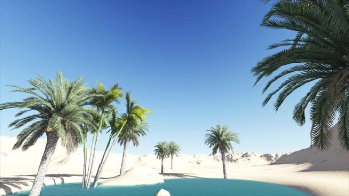 4K动画沙漠绿洲与炎热的太阳在背景
