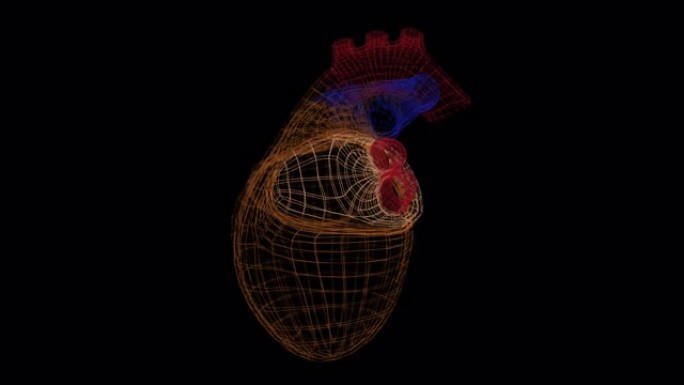 网格结构中的抽象脉动心脏在黑色背景上旋转。