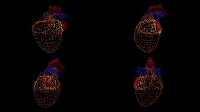 网格结构中的抽象脉动心脏在黑色背景上旋转。