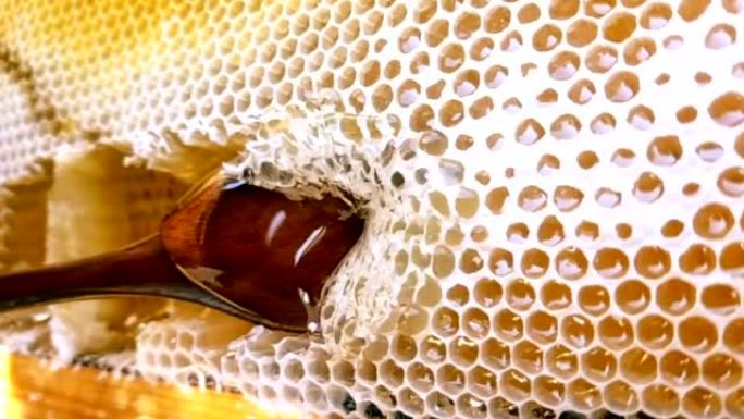 蜂蜜背景天然有机蜂蜡特写舀取刮取