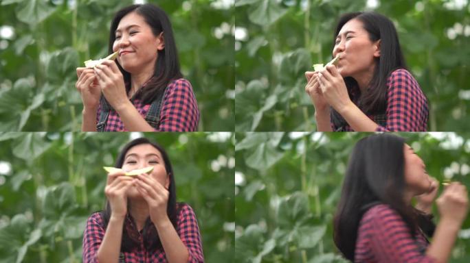 亚洲年轻女农夫测试瓜类作物品种研发，转基因食品，生物食品概念，享受饮食