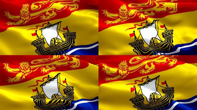 新不伦瑞克省的旗帜视频在风中飘扬。现实的省旗背景。‎蒙克顿新不伦瑞克旗循环特写1080p全高清192