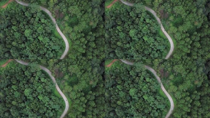 在泰国清莱府高地山脉的绿色森林中，一辆摩托车在道路上行驶的鸟瞰图。