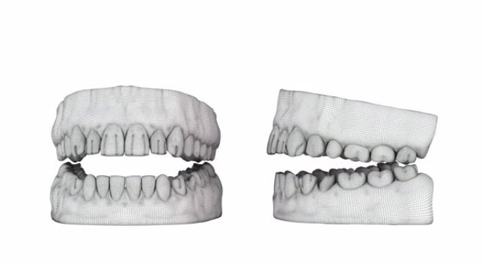 慢动作特写张开的嘴齿渲染为线框。3D动画。4K