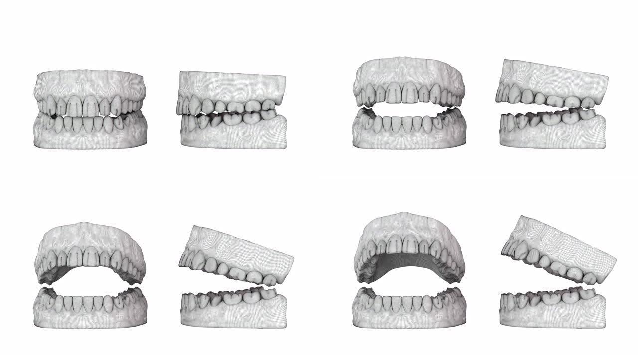 慢动作特写张开的嘴齿渲染为线框。3D动画。4K