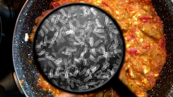 寻找食物中的细菌寻找食物中的细菌