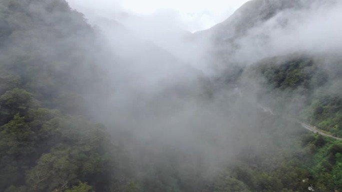 神秘的空中无人机在哈斯特山口 (Haast Pass) 的浓雾和茂密的雨林中飞行，哈斯特山口是新西兰