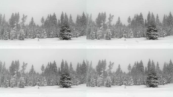 POV，慢动作的白雪冬季风景与美丽的降雪。