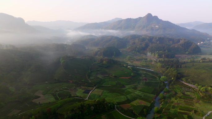 武夷山清晨云雾