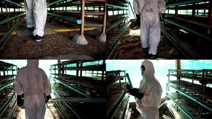 科学家正在监测鸡肉废物形式的病毒MERS-CoV污染