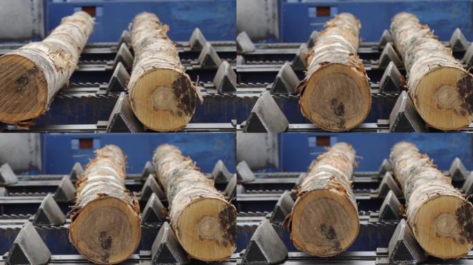自动日志排序行。轮式装载机和锯木厂的自动分拣原木直径。木材工业。