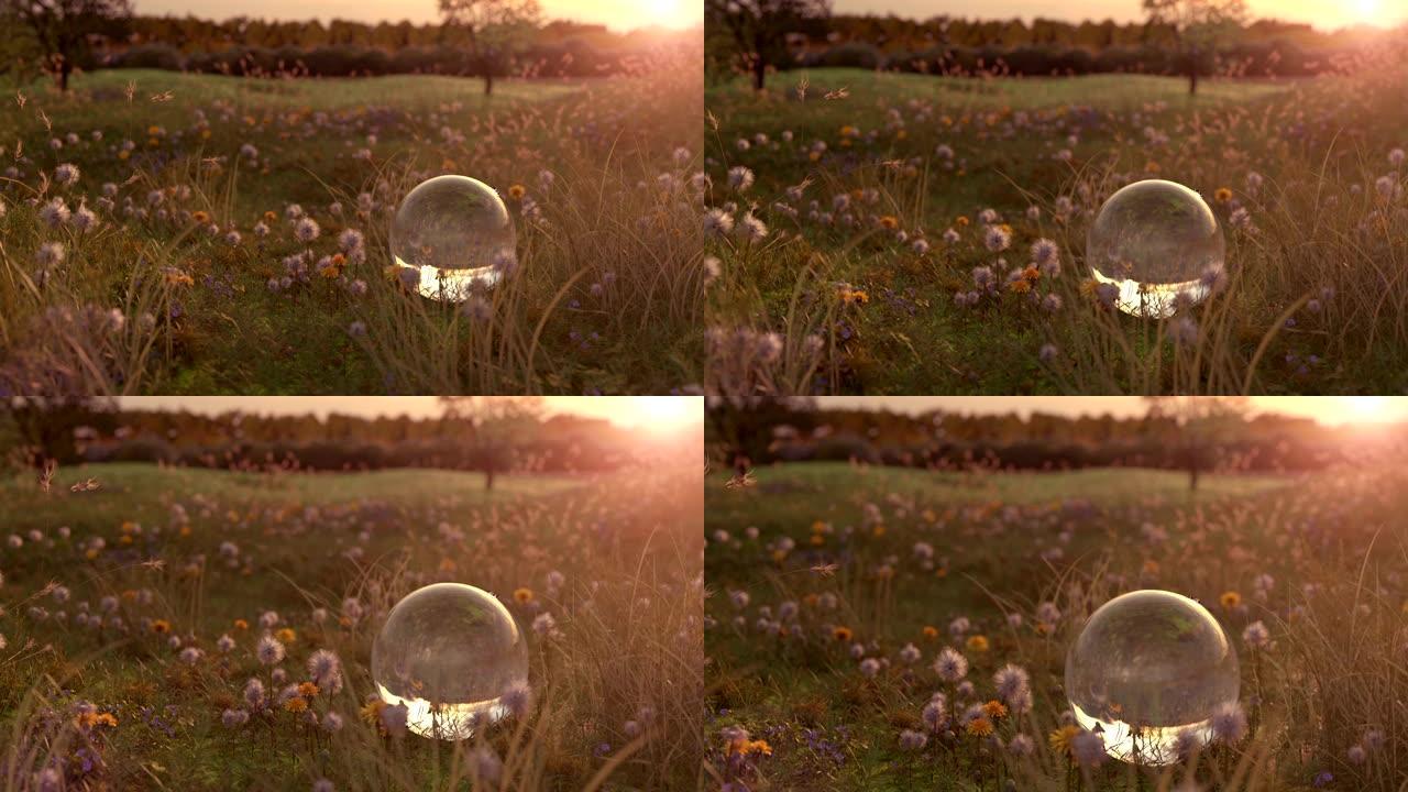 傍晚阳光下的花草地和玻璃球