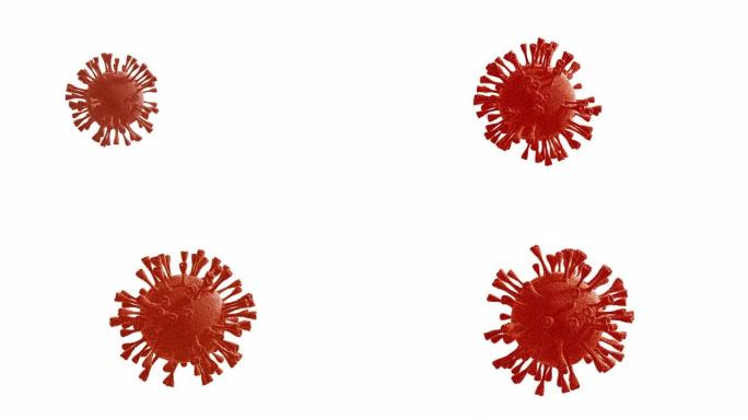 皇冠是孤立的。2019冠状病毒的3D动画。流行病