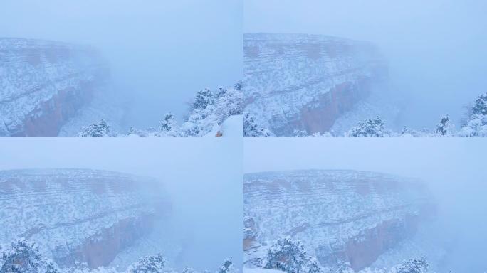 大峡谷雾冬天暴雪能见度低大雾天气