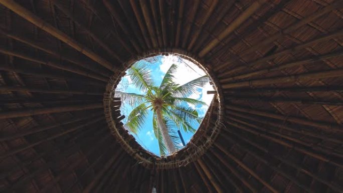 热带概念视频。屋顶窗户上的太阳光。海滩平房的棕榈景观穿过屋顶的窗户。
