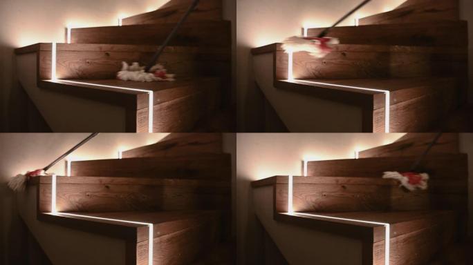 清洁现代木制楼梯