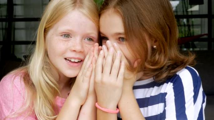 两个小女孩窃窃私语，互相倾诉秘密