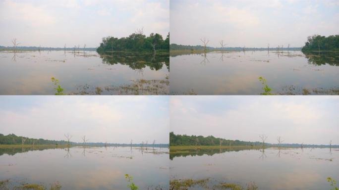 柬埔寨暹粒吴哥窟综合体内阿波安湖池塘美丽的自然景观。