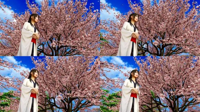 slow-mo 3D动画中的日本和服女孩和盛开的樱花