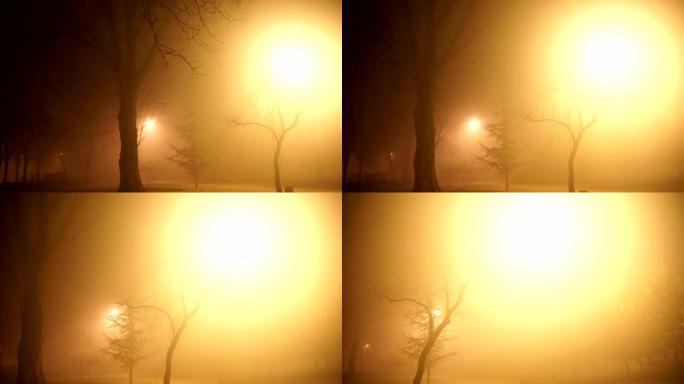 晚上森林里有雾路灯迷雾树木