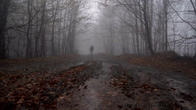 潮湿的男性游客迷失在森林里。满目疮痍的人在迷雾森林中徘徊