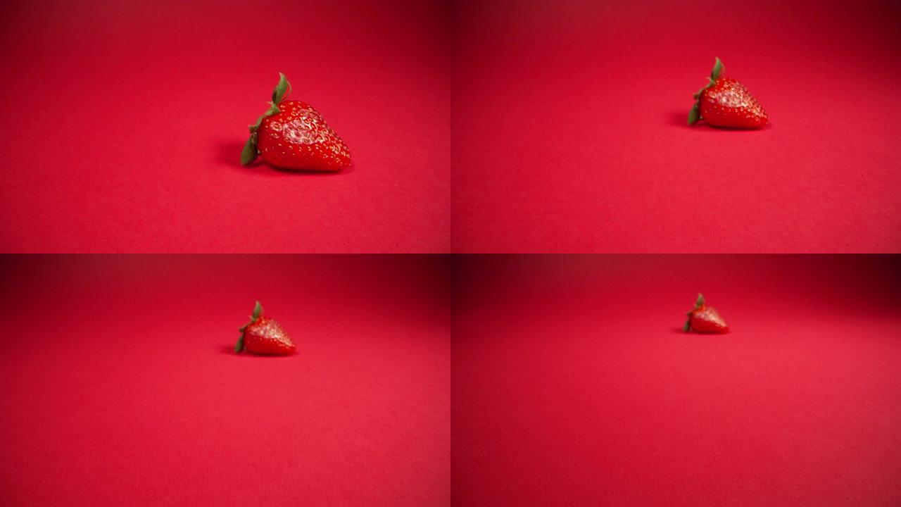 一个新鲜成熟美味的季节鲜红色草莓坐在红色背景上的超特写微距移动轨迹拍摄