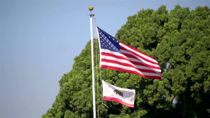 美国国旗和加州国旗在风中飘扬，慢镜头180帧/秒