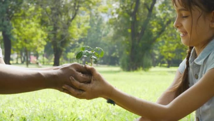 关闭年轻女孩的手recive young plant