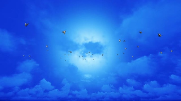 鸽子在蓝天下飞翔鸽子群飞翔三维动画