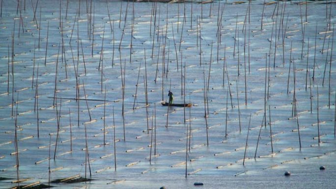 霞浦的海上农场，这是海上海藻最大的生长区域