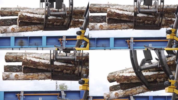 装载测井设备。木材、原木的原木装载机。日志加载器移动一堆松木日志。木材工业。