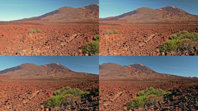 火星表面全景，概念。红石覆盖，高山，沙漠植物的绿色灌木。可以用来说明火星的殖民，宇航员在系外行星上的