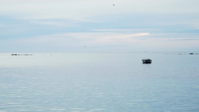 日出或日落时停泊在海湾中的渔船的镜头，天空多云，cor在天空中飞翔