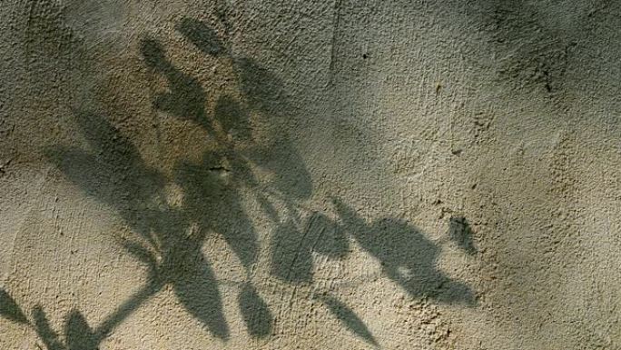 Leaves  shadow on the wall