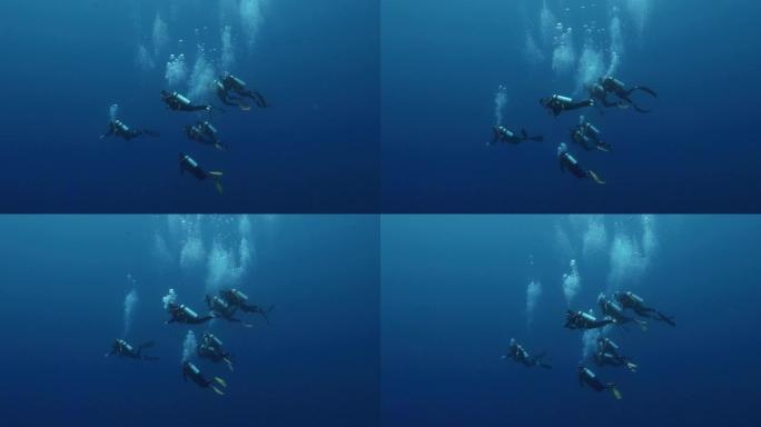 潜水员在太平洋水下游泳。在清澈的蓝色水中进行休闲和度假的完美潜水