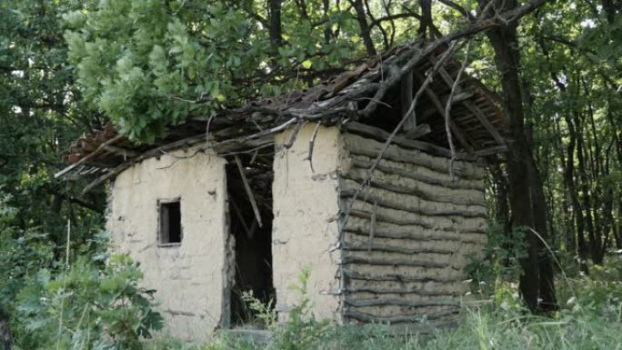 隐藏在草丛和灌木中的森林小屋吓人4K