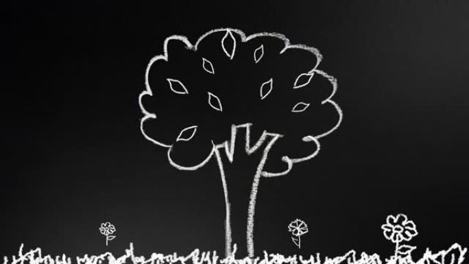 手用粉笔在木板上画一棵树，树叶、花朵、蝴蝶出现在画板上。动画.循环.4k