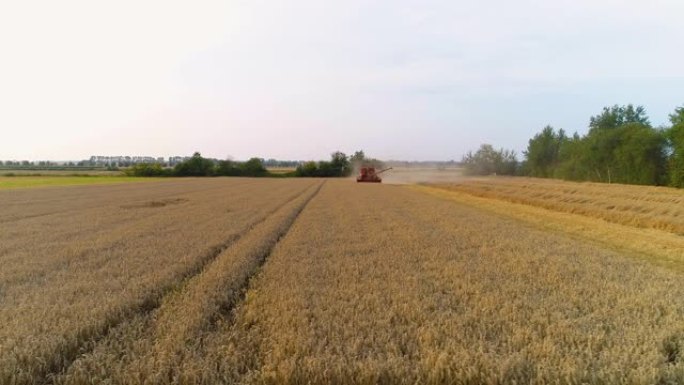 农业-联合收割机收割小麦