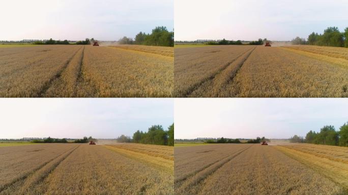 农业-联合收割机收割小麦