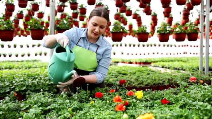 在温室工作的女人外国花艺师特写实拍
