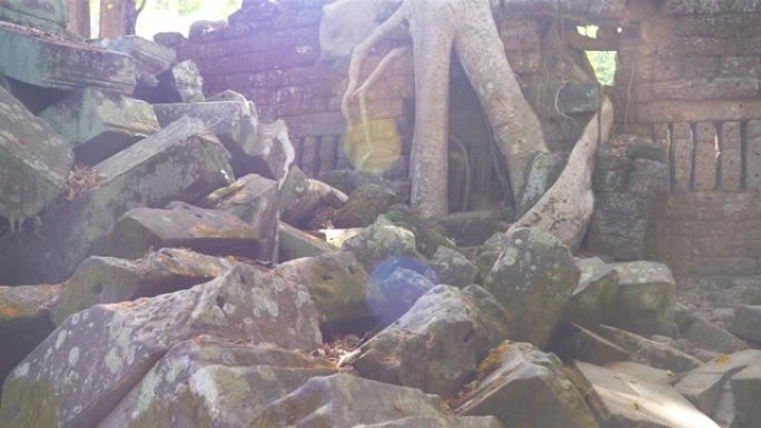 柬埔寨暹粒吴哥窟建筑群塔普罗姆寺的景观。