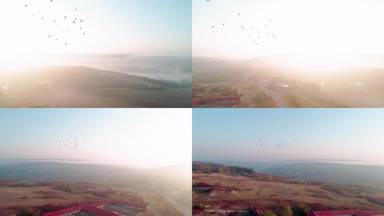 和鸟一起飞行。鸟瞰图。自然和云景。平原上的雾和雾在风景中创造了简约和美丽。一群鸟飞走了。