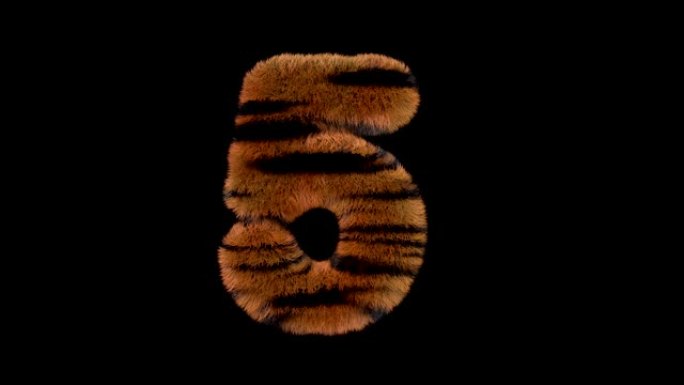 动画毛茸茸的动物园老虎文字字体5