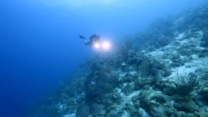 加勒比海/库拉索岛珊瑚礁绿松石水中的海景，有潜水员、鱼、珊瑚和海绵