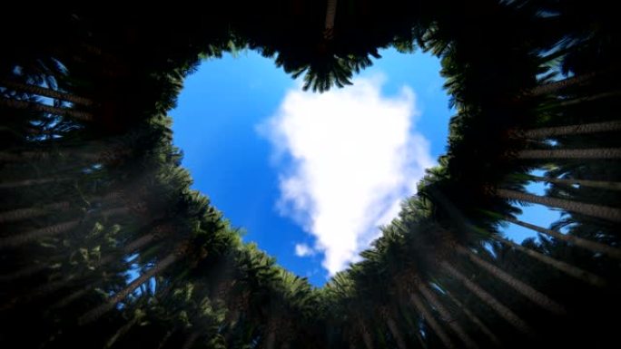 仰望树木的心脏，抵御延时云，无缝循环，4K