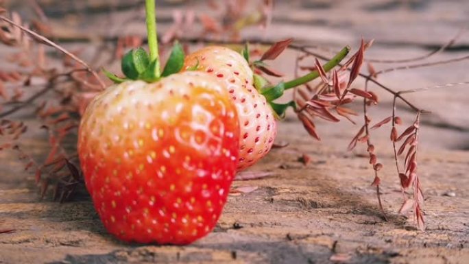 木材背景上的新鲜红色草莓